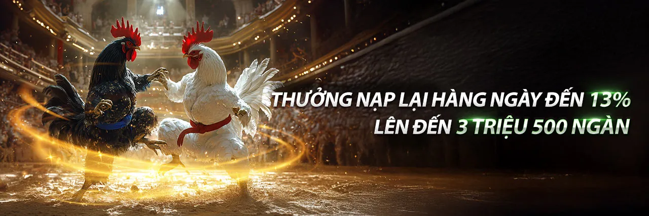 Đấu trường đá gà kịch tính tại jb88 web